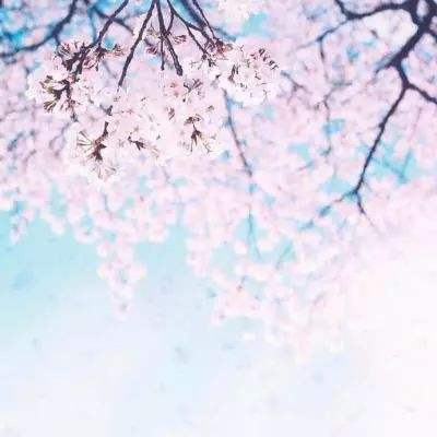 时之刻印手游官方版下载